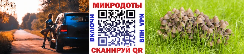 Псилоцибиновые грибы Psilocybine cubensis  Ангарск 