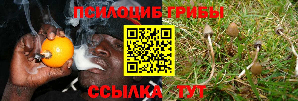 Галлюциногенные грибы MAGIC MUSHROOMS  Вход с VPN  Ангарск 